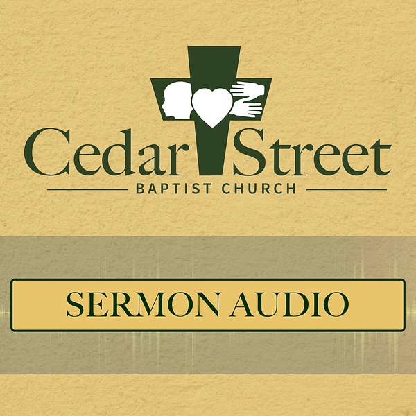 Cedar Street Baptist Church (Metter, GA) Podcast Artwork Image